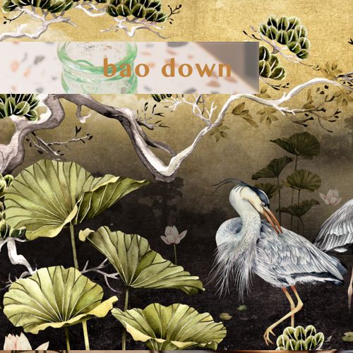 bao down
