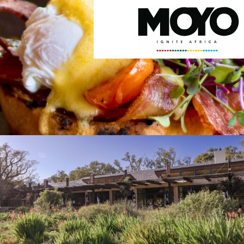 MOYO - Kirstenbosch, Kirstenbosch Botanical Gardens, Rhodes Drive, Newlands, Cape Town, Western Cape